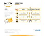 Промо-сайт компании Salton